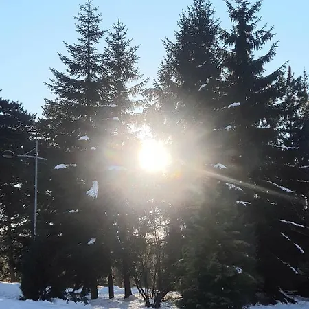 Willa Kuca 1a, Kaluderske Bare, Tara