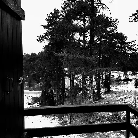 Villa Kuca 1a, Kaluderske Bare, Tara