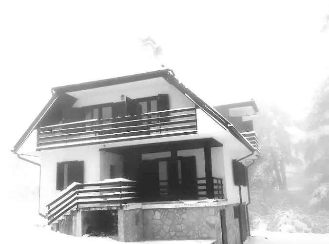 Kuca 1a, Kaluderske Bare, Tara 빌라